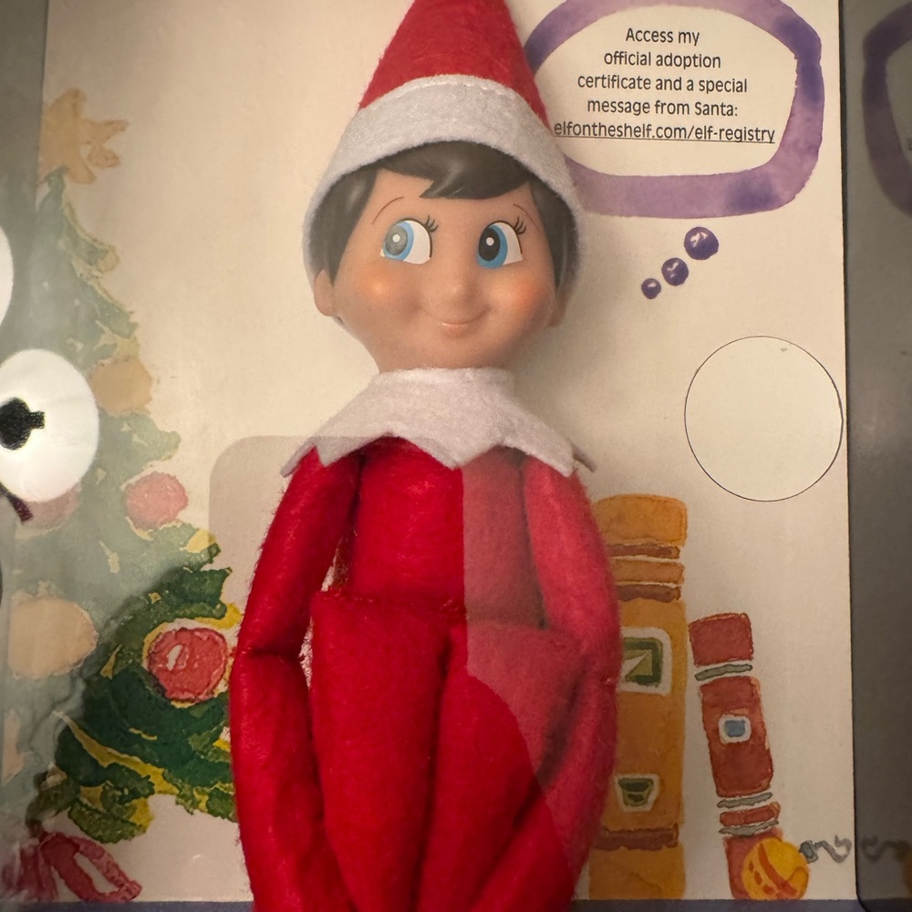 The Elf on the Shelf: A Christmas Tradition Book Set (Boy) - Picture 6 of 8